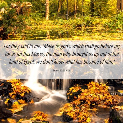 Picture 06 - Exodus 32:23 WEB - For they said to me, 'Make us gods, which shall - Bible Verse Picture