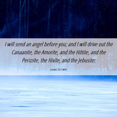 Picture 06 - Exodus 33:2 WEB - I will send an angel before you; and I will drive - Bible Verse Picture