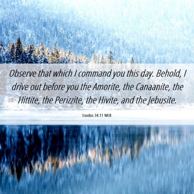 Picture 06 - Exodus 34:11 WEB - Observe that which I command you this day. - Bible Verse Picture
