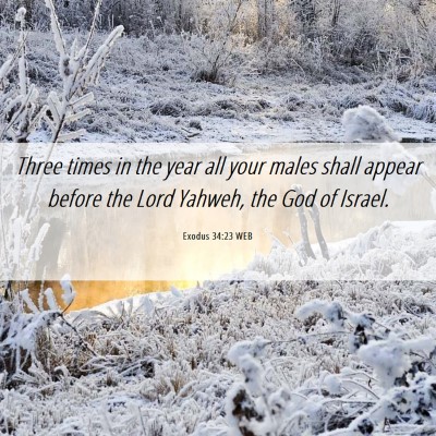 Picture 06 - Exodus 34:23 WEB - Three times in the year all your males shall - Bible Verse Picture
