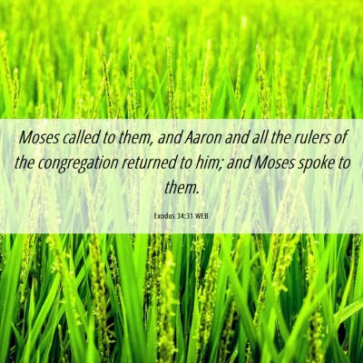 Picture 06 - Exodus 34:31 WEB - Moses called to them, and Aaron and all the - Bible Verse Picture