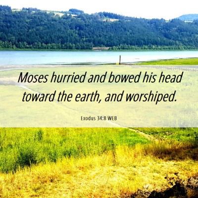 Picture 06 - Exodus 34:8 WEB - Moses hurried and bowed his head toward the - Bible Verse Picture