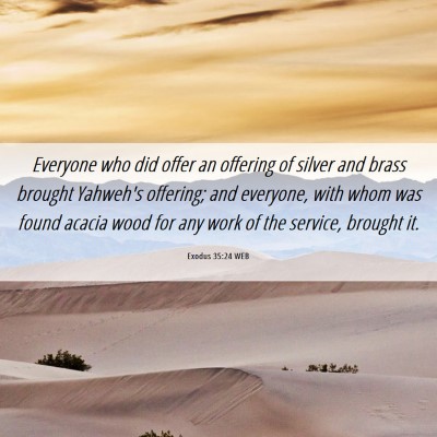 Picture 06 - Exodus 35:24 WEB - Everyone who did offer an offering of silver and - Bible Verse Picture