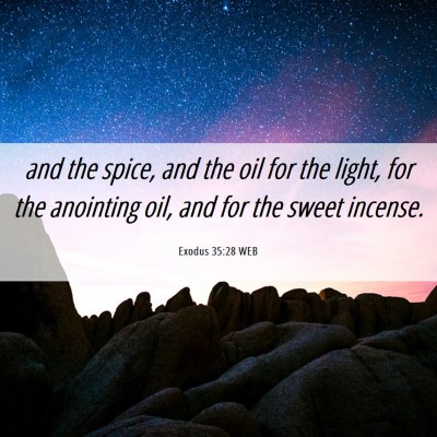 Picture 06 - Exodus 35:28 WEB - and the spice, and the oil for the light, for the - Bible Verse Picture