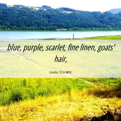 Picture 06 - Exodus 35:6 WEB - blue, purple, scarlet, fine linen, goats' - Bible Verse Picture