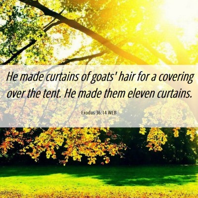 Picture 06 - Exodus 36:14 WEB - He made curtains of goats' hair for a covering - Bible Verse Picture
