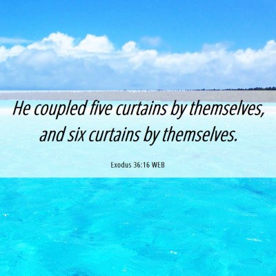 Picture 06 - Exodus 36:16 WEB - He coupled five curtains by themselves, and six - Bible Verse Picture