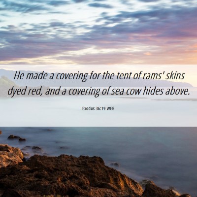 Picture 06 - Exodus 36:19 WEB - He made a covering for the tent of rams' skins - Bible Verse Picture