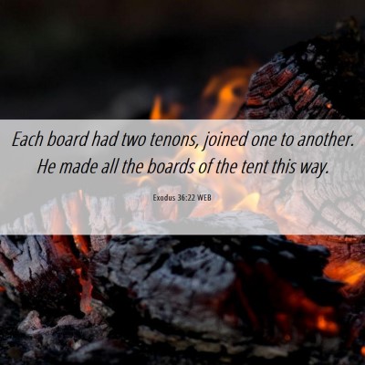 Picture 06 - Exodus 36:22 WEB - Each board had two tenons, joined one to another. - Bible Verse Picture
