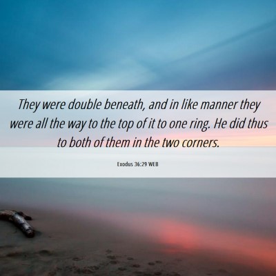 Picture 06 - Exodus 36:29 WEB - They were double beneath, and in like manner they - Bible Verse Picture