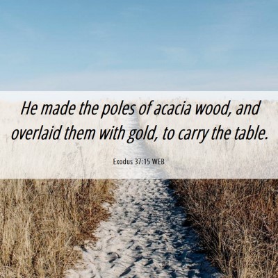 Picture 06 - Exodus 37:15 WEB - He made the poles of acacia wood, and overlaid - Bible Verse Picture