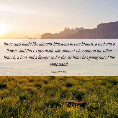 Picture 06 - Exodus 37:19 WEB - three cups made like almond-blossoms in one - Bible Verse Picture