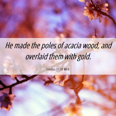 Picture 06 - Exodus 37:28 WEB - He made the poles of acacia wood, and overlaid - Bible Verse Picture