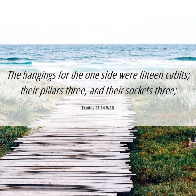 Picture 06 - Exodus 38:14 WEB - The hangings for the one side were fifteen - Bible Verse Picture