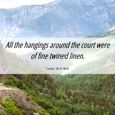 Picture 06 - Exodus 38:16 WEB - All the hangings around the court were of fine - Bible Verse Picture