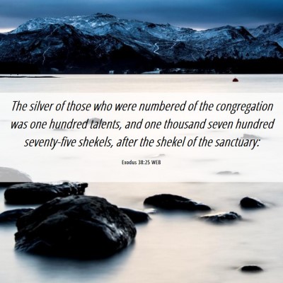 Picture 06 - Exodus 38:25 WEB - The silver of those who were numbered of the - Bible Verse Picture