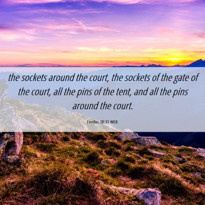 Picture 06 - Exodus 38:31 WEB - the sockets around the court, the sockets of the - Bible Verse Picture