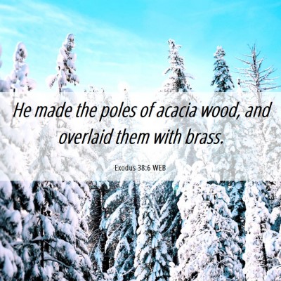 Picture 06 - Exodus 38:6 WEB - He made the poles of acacia wood, and overlaid - Bible Verse Picture