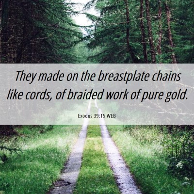 Picture 06 - Exodus 39:15 WEB - They made on the breastplate chains like cords, - Bible Verse Picture