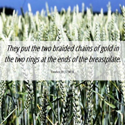 Picture 06 - Exodus 39:17 WEB - They put the two braided chains of gold in the - Bible Verse Picture