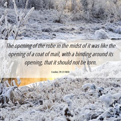 Picture 06 - Exodus 39:23 WEB - The opening of the robe in the midst of it was - Bible Verse Picture