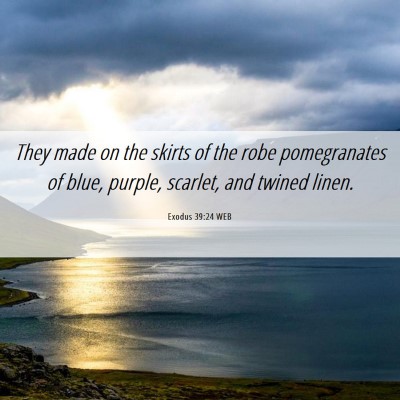 Picture 06 - Exodus 39:24 WEB - They made on the skirts of the robe pomegranates - Bible Verse Picture