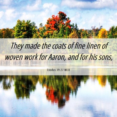 Picture 06 - Exodus 39:27 WEB - They made the coats of fine linen of woven work - Bible Verse Picture