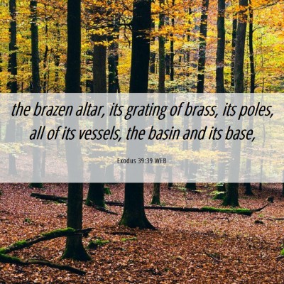 Picture 06 - Exodus 39:39 WEB - the brazen altar, its grating of brass, its - Bible Verse Picture