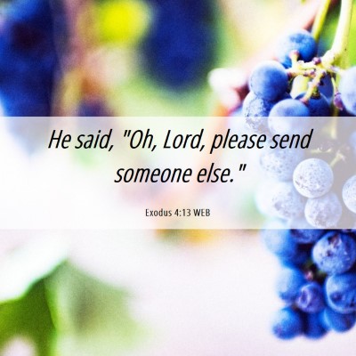 Picture 06 - Exodus 4:13 WEB - He said, 