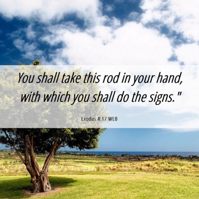 Picture 06 - Exodus 4:17 WEB - You shall take this rod in your hand, with which - Bible Verse Picture