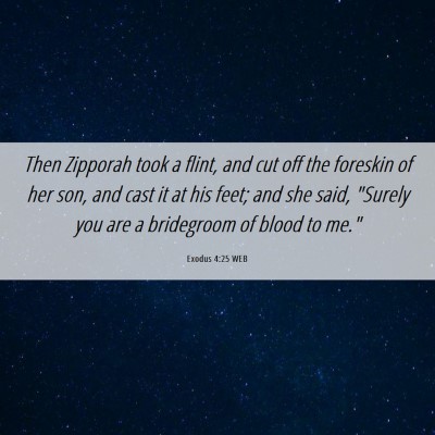 Picture 06 - Exodus 4:25 WEB - Then Zipporah took a flint, and cut off the - Bible Verse Picture
