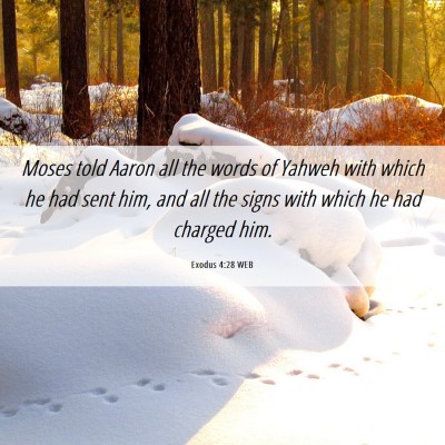 Picture 06 - Exodus 4:28 WEB - Moses told Aaron all the words of Yahweh with - Bible Verse Picture