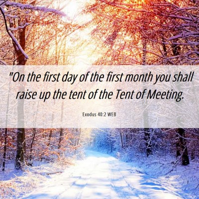 Picture 06 - Exodus 40:2 WEB - 