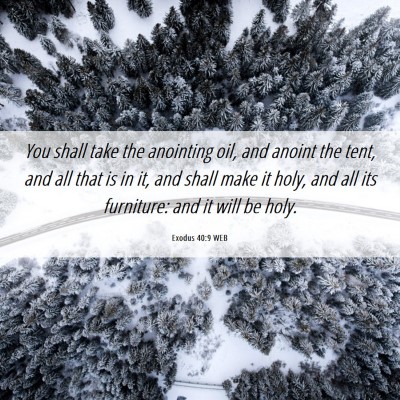 Picture 06 - Exodus 40:9 WEB - You shall take the anointing oil, and anoint the - Bible Verse Picture