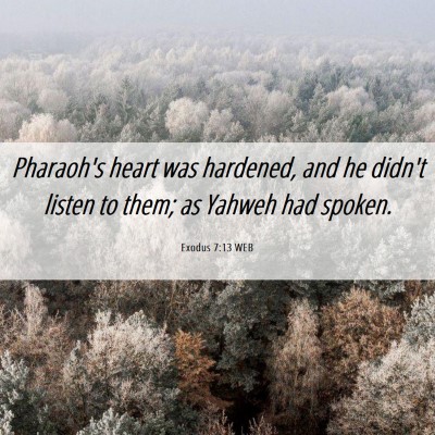 Picture 06 - Exodus 7:13 WEB - Pharaoh's heart was hardened, and he didn't - Bible Verse Picture