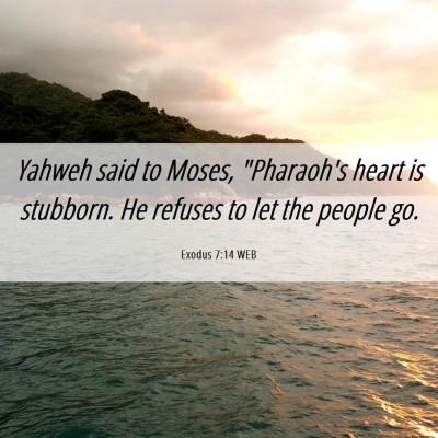 Picture 06 - Exodus 7:14 WEB - Yahweh said to Moses, 