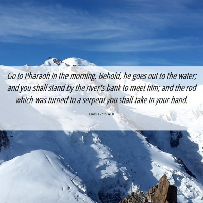 Picture 06 - Exodus 7:15 WEB - Go to Pharaoh in the morning. Behold, he goes out - Bible Verse Picture