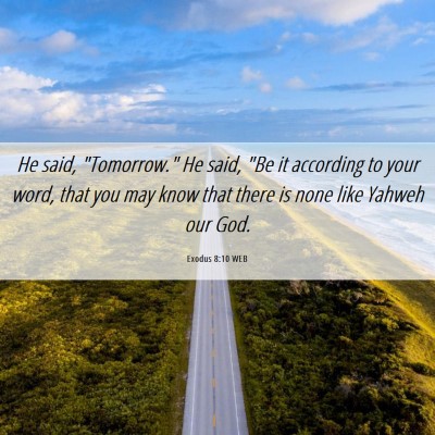Picture 06 - Exodus 8:10 WEB - He said, 