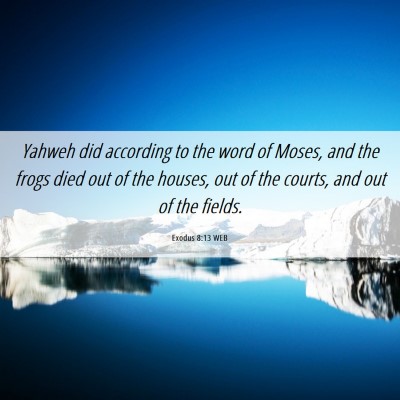 Picture 06 - Exodus 8:13 WEB - Yahweh did according to the word of Moses, and - Bible Verse Picture