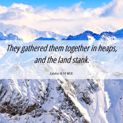 Picture 06 - Exodus 8:14 WEB - They gathered them together in heaps, and the - Bible Verse Picture
