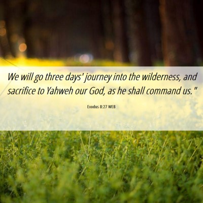Picture 06 - Exodus 8:27 WEB - We will go three days' journey into the - Bible Verse Picture