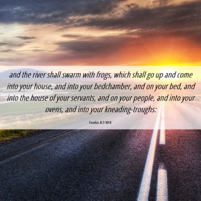 Picture 06 - Exodus 8:3 WEB - and the river shall swarm with frogs, which shall - Bible Verse Picture