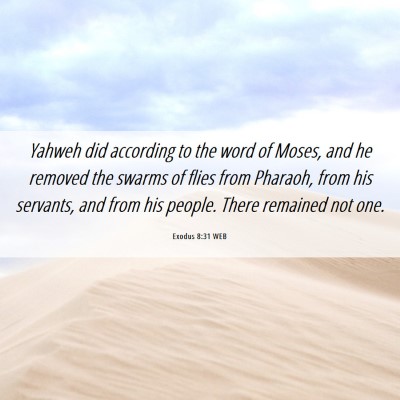 Picture 06 - Exodus 8:31 WEB - Yahweh did according to the word of Moses, and he - Bible Verse Picture