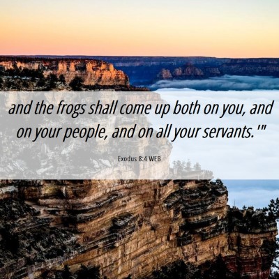 Picture 06 - Exodus 8:4 WEB - and the frogs shall come up both on you, and on - Bible Verse Picture