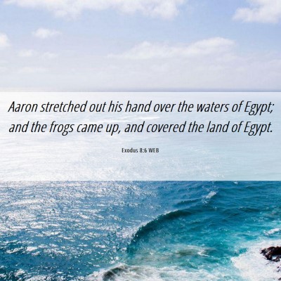 Picture 06 - Exodus 8:6 WEB - Aaron stretched out his hand over the waters of - Bible Verse Picture