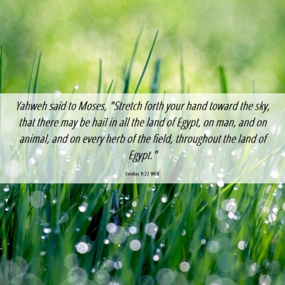 Picture 06 - Exodus 9:22 WEB - Yahweh said to Moses, 