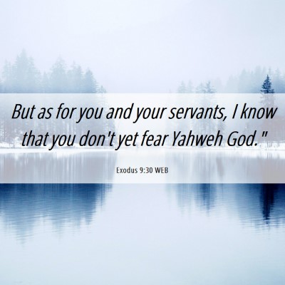 Picture 06 - Exodus 9:30 WEB - But as for you and your servants, I know that you - Bible Verse Picture