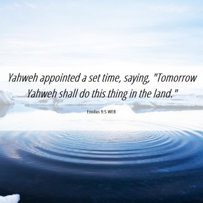 Picture 06 - Exodus 9:5 WEB - Yahweh appointed a set time, saying, 