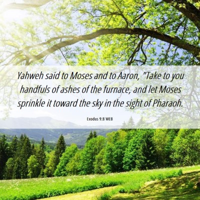 Picture 06 - Exodus 9:8 WEB - Yahweh said to Moses and to Aaron, 