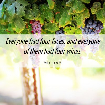 Picture 06 - Ezekiel 1:6 WEB - Everyone had four faces, and everyone of them had - Bible Verse Picture